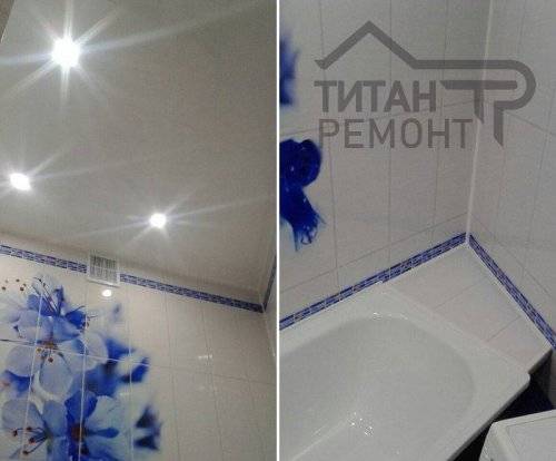 Синий цветок фото, пример, картинка