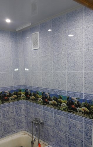 Аквариум синий фото, пример, картинка